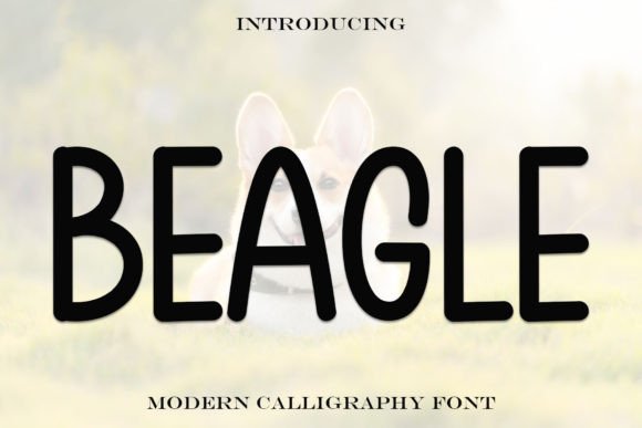 Beagle Font: A Timeless Display Type for Design Projects